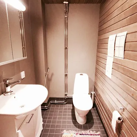Levin Stara 2 Apartment